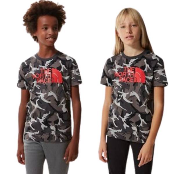 NORTH FACE YOUTH EASY LOGOWEAR TEE