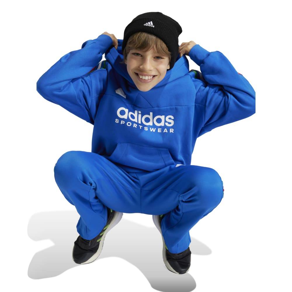 ADIDAS J NP HOODIE