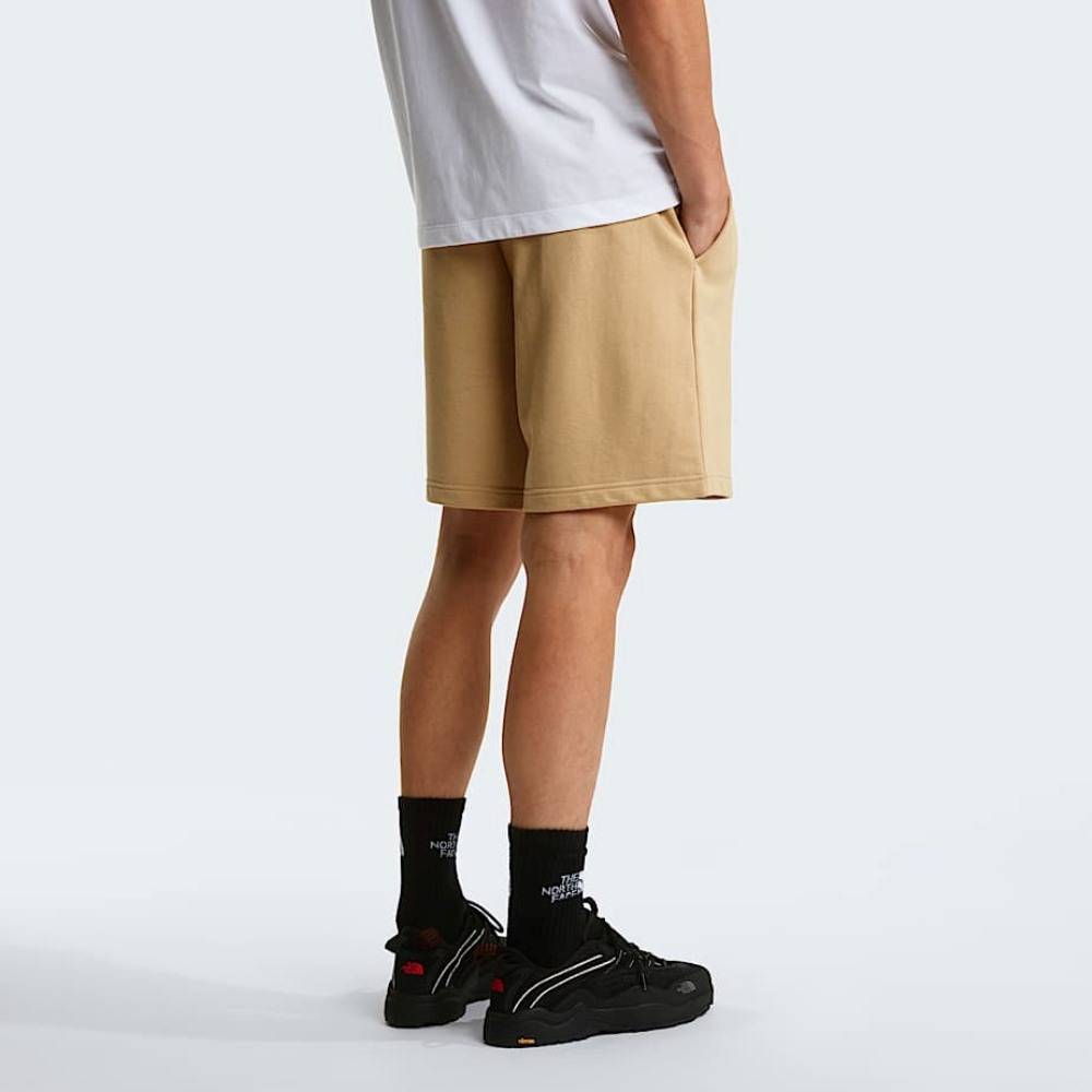 THE NORTH FACE M BOX NSE LIGHT REGULAR SHORTS