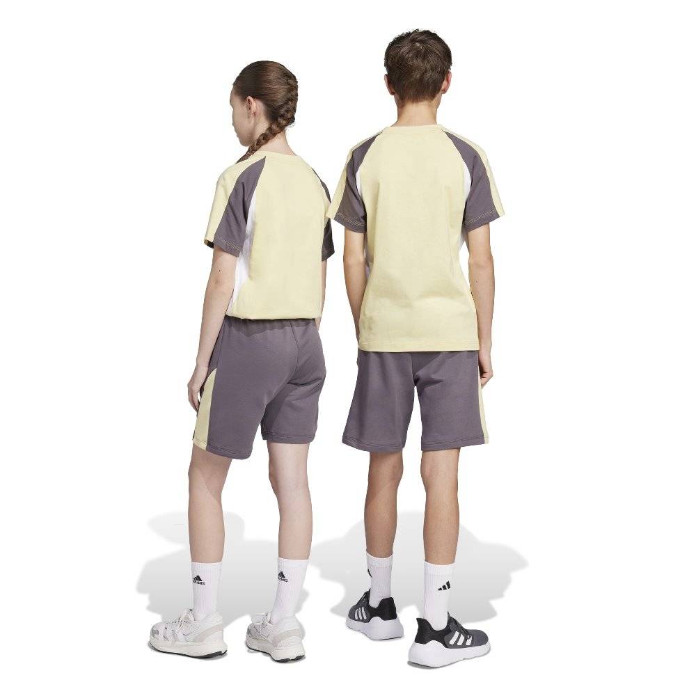 ADIDAS YOUTH SEASONAL ESSENTIALS COLORBLOCK SHORTS