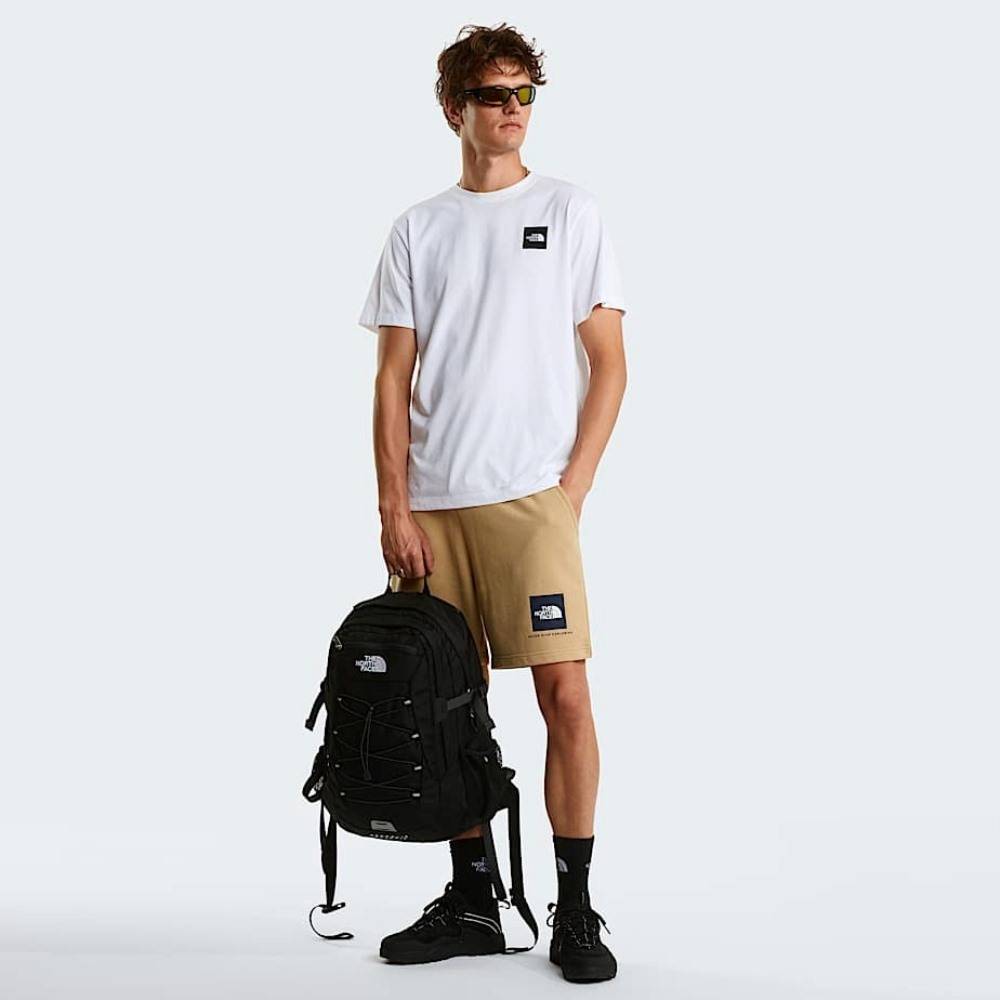 THE NORTH FACE M BOX NSE LIGHT REGULAR SHORTS