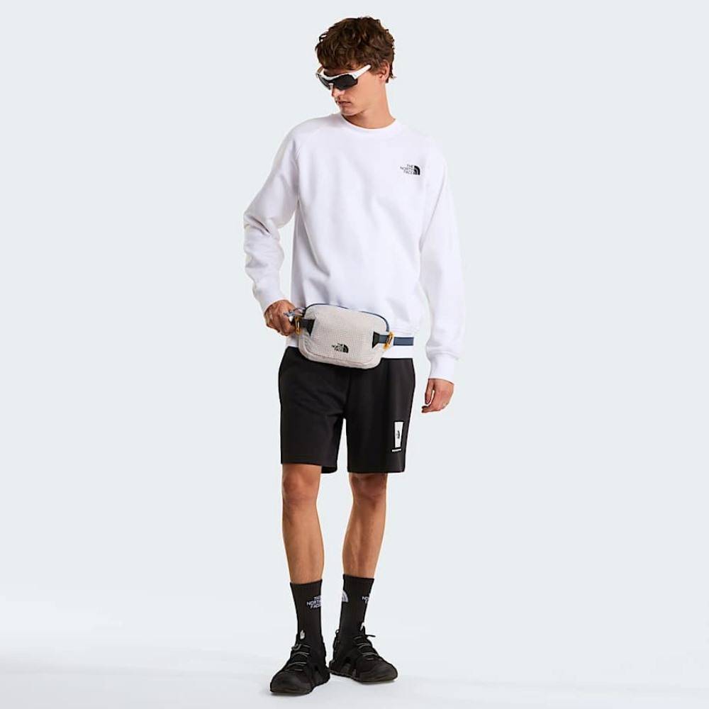 THE NORTH FACE M BOX NSE LIGHT REGULAR SHORTS
