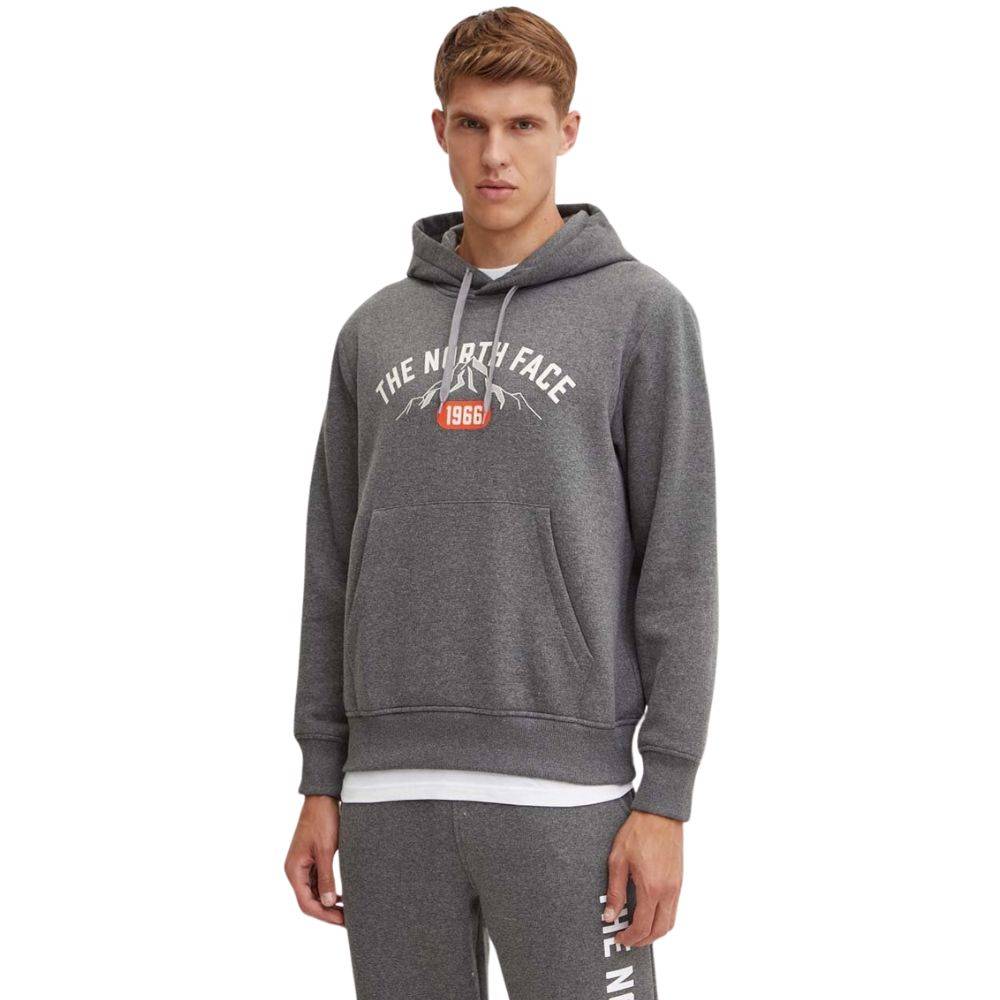THE NORTH FACE MENS VARSITY GRAPHIC HOODIE
