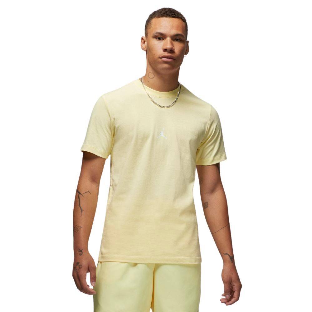 NIKE JORDAN FLIGHT 23 GRAPHIC SS TEE