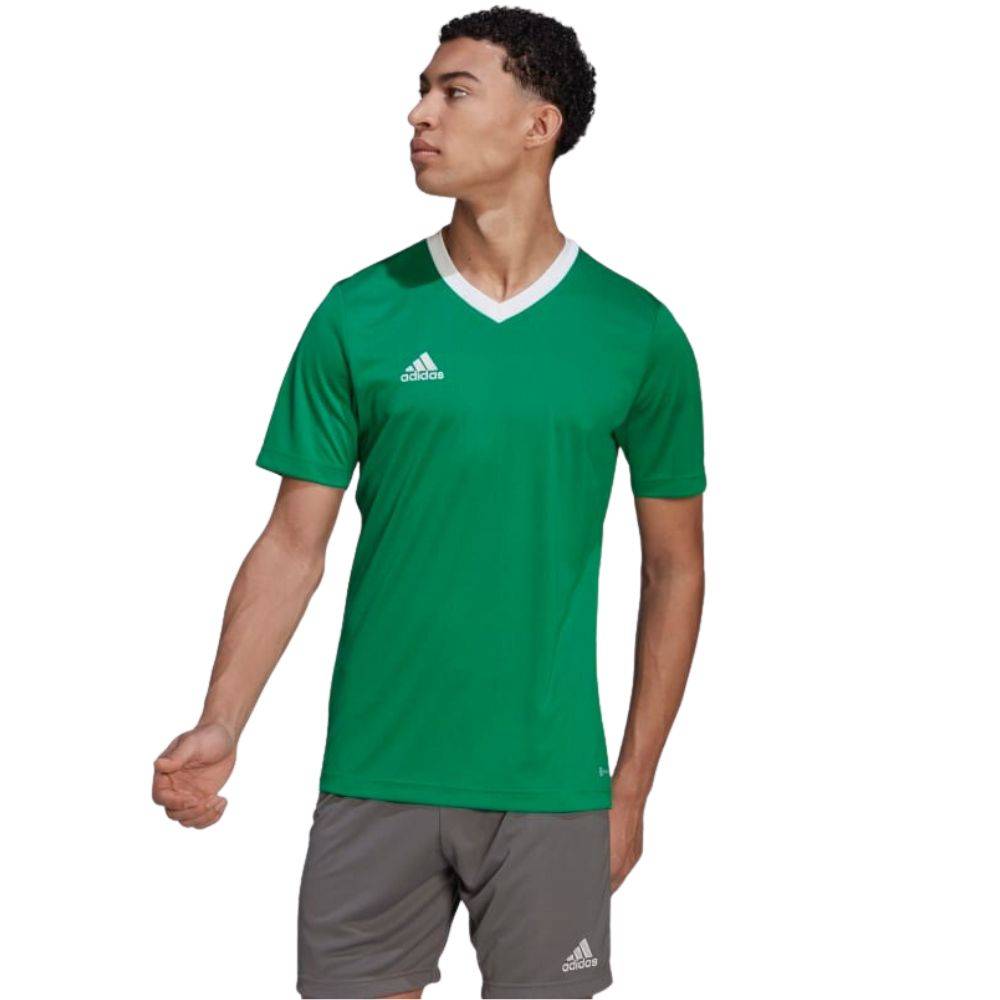 ADIDAS M ENTRADA 22 JERSEY