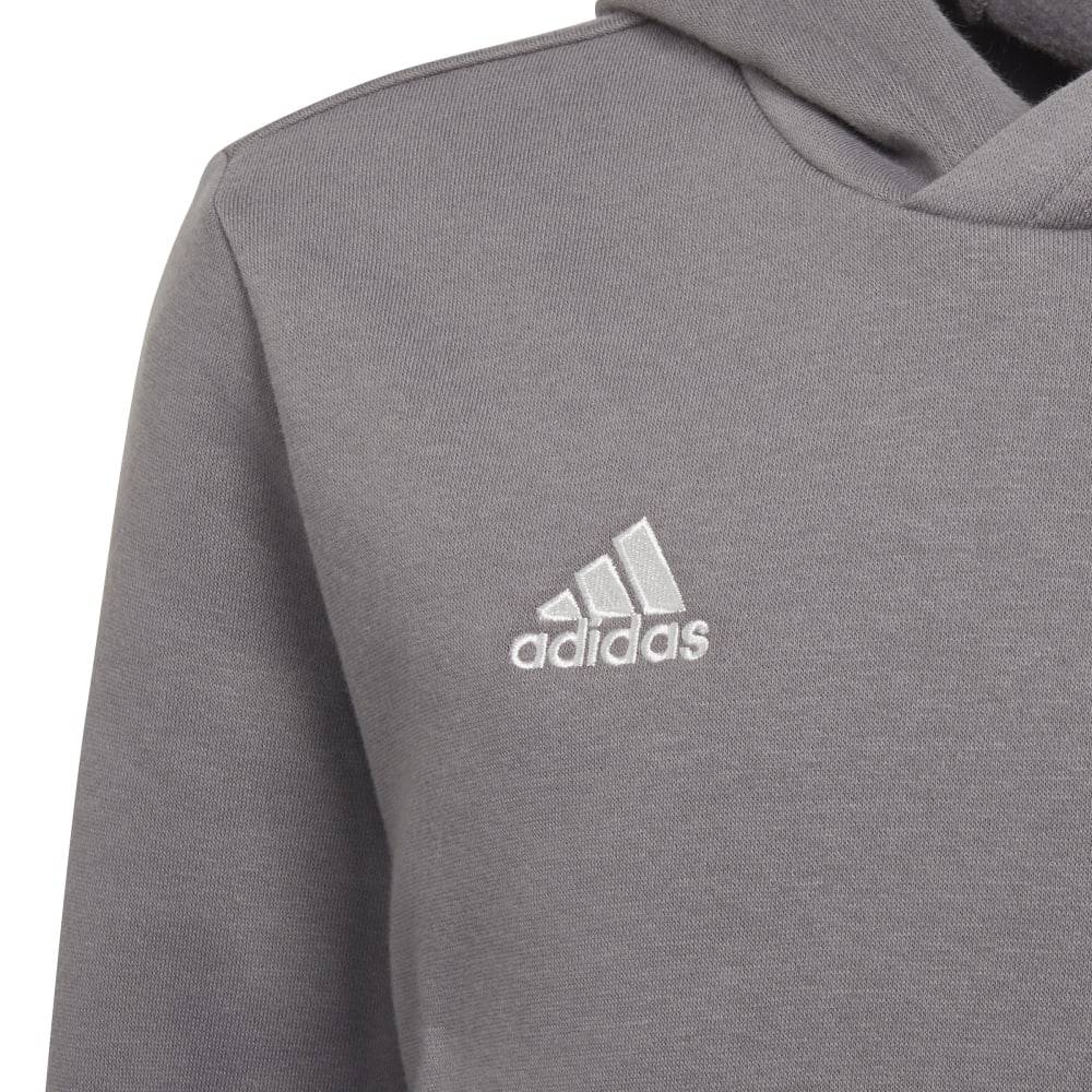 ADIDAS ENT22 HOODY Y