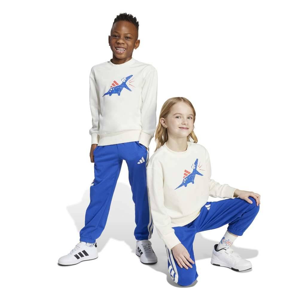 ADIDAS LITTLE KIDS SEASONAL ESSENTIALS ADIRAPTOR FLEECE JOGGER SET