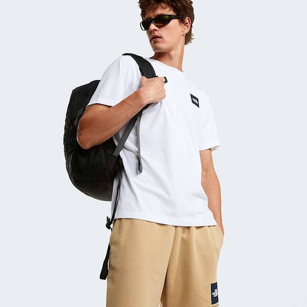 THE NORTH FACE M BOX NSE LIGHT REGULAR SHORTS