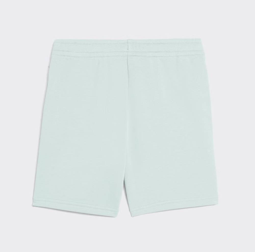 PUMA ESS 2 COLOR NO. 1 LOGO SHORTS TR B