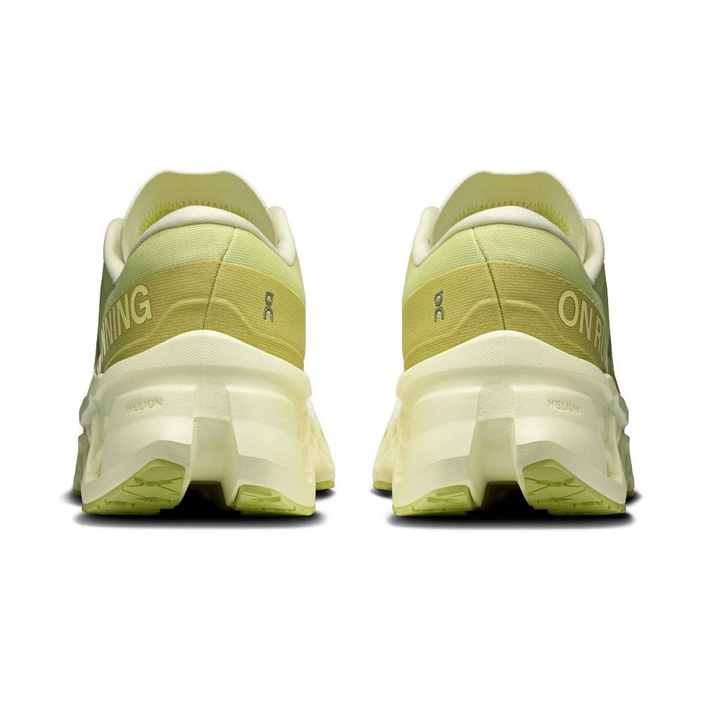 ON RUNNING CLOUDMONSTER 3 M