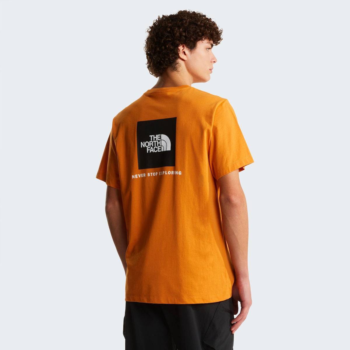 THE NORTH FACE M EVOLUTION BOX NSE REGULAR SHORT SLEEVE TEE