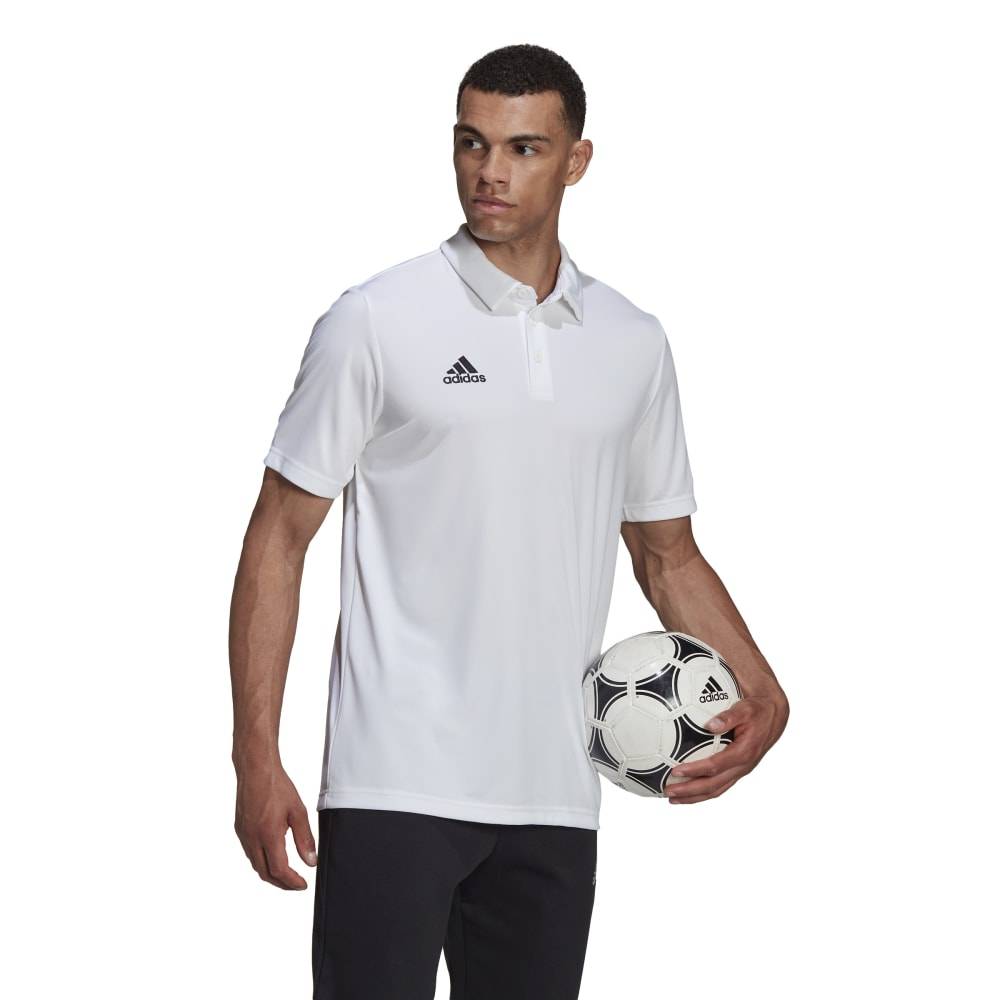 ADIDAS M ENTRADA22 POLO