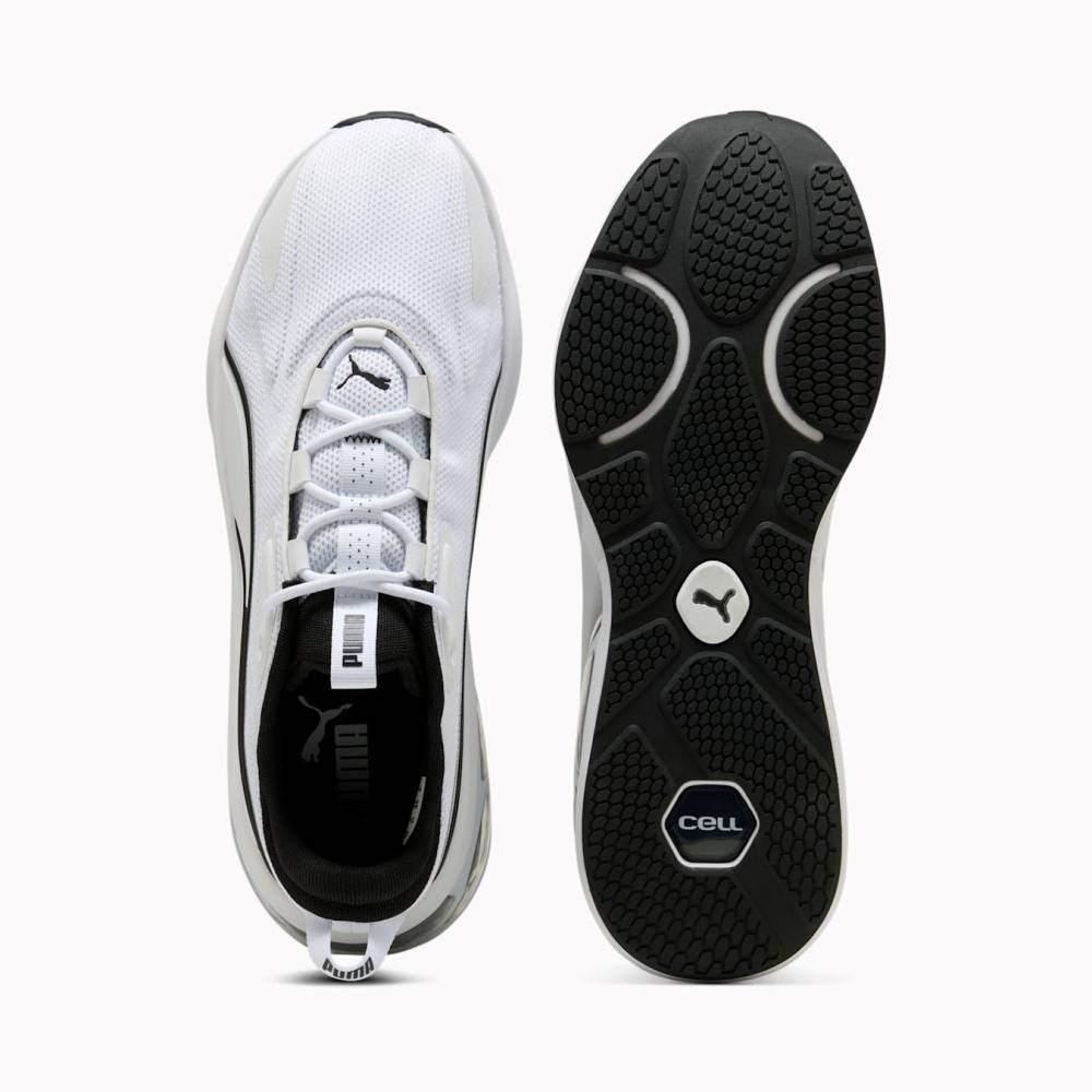 PUMA CELL SOLAR