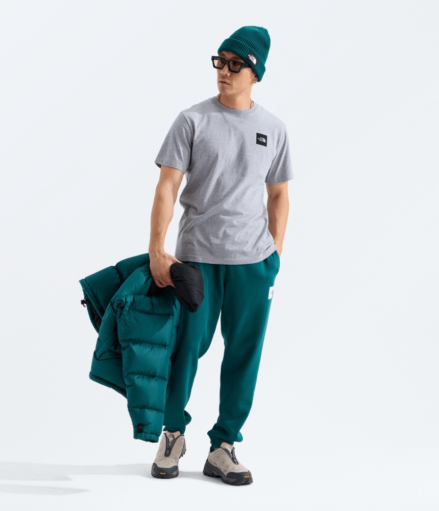 THE NORTH FACE M EVOLUTION BOX HALF DOME REGULAR SHORT