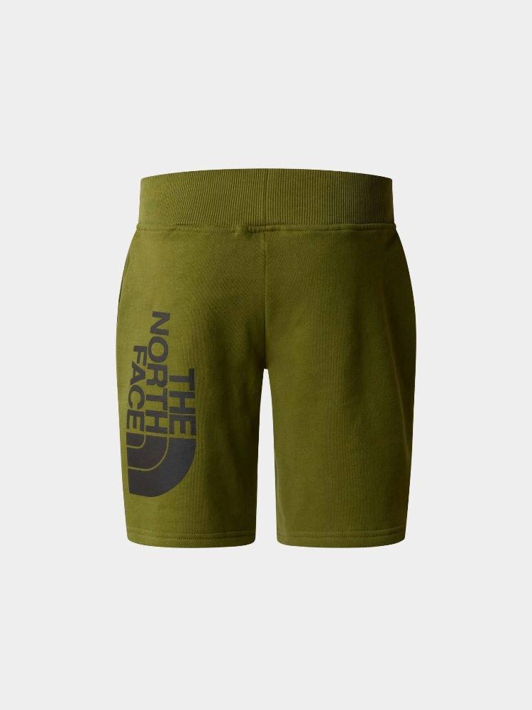 THE NORTH FACE BOYS COTTON SHORTS