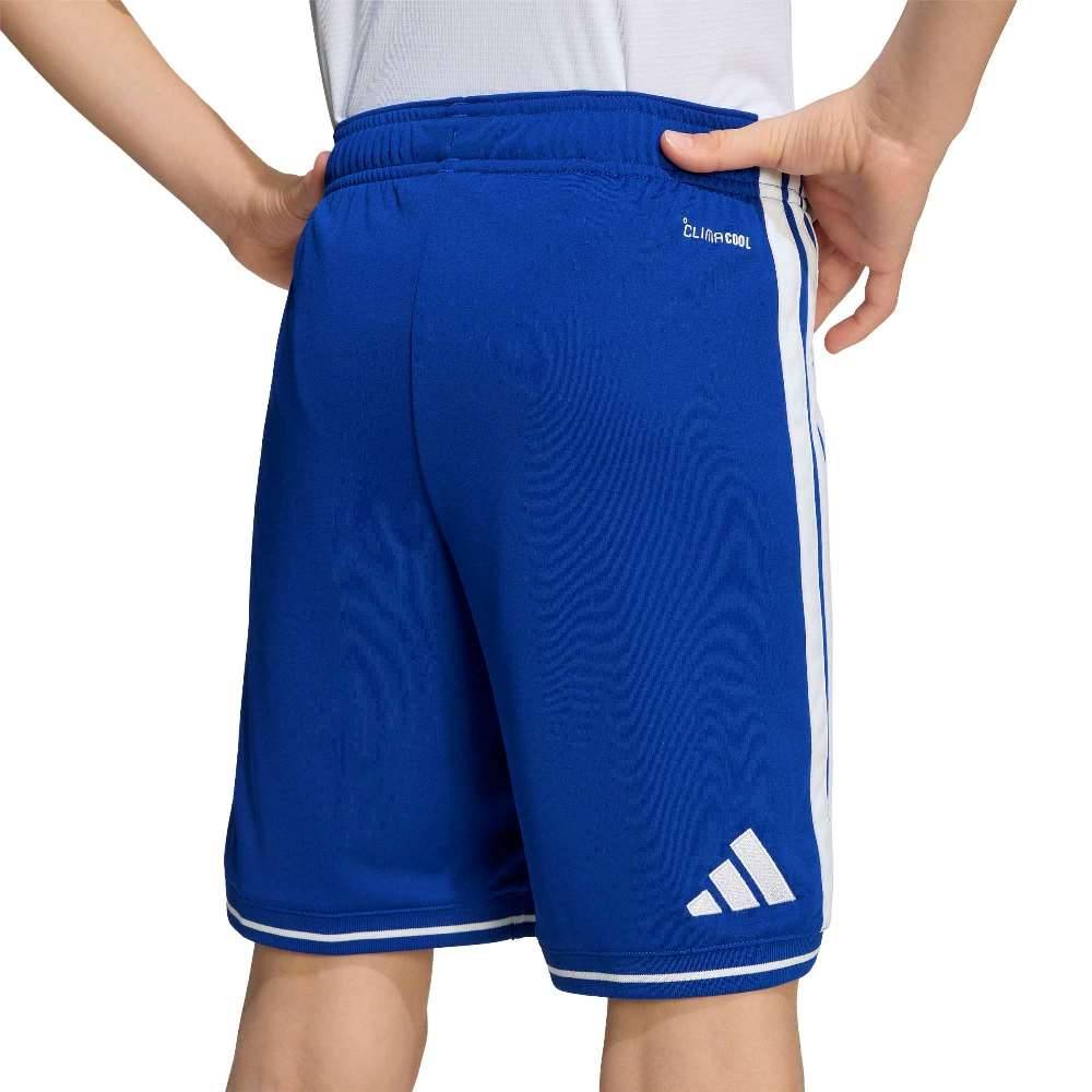 ADIDAS BOYS GREECE 26 HOME SHORTS
