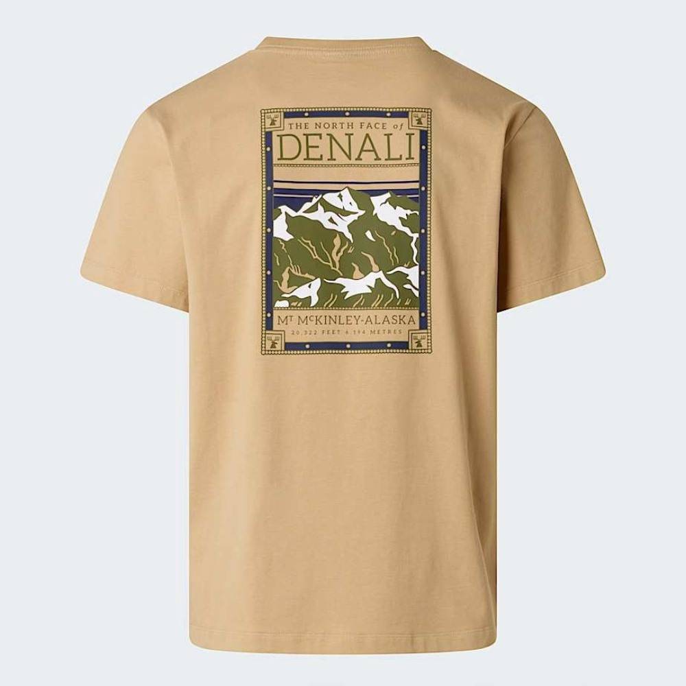 THE NORTH FACE M NORTH FACES REGULAR SHORT SLEEVE TEE GRAPHIC