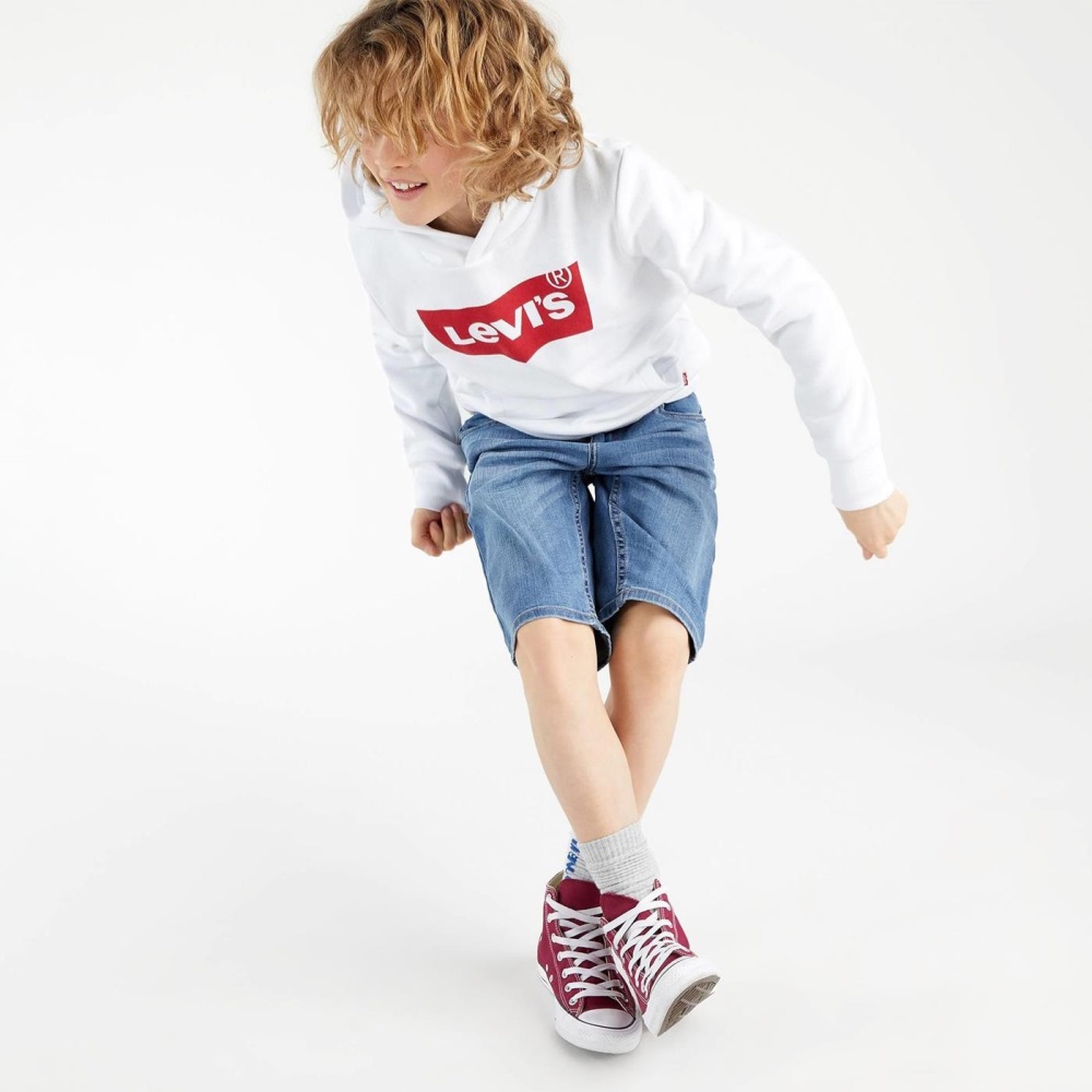 LEVIS BOYS BATWING SCREENPRINT HOODIE