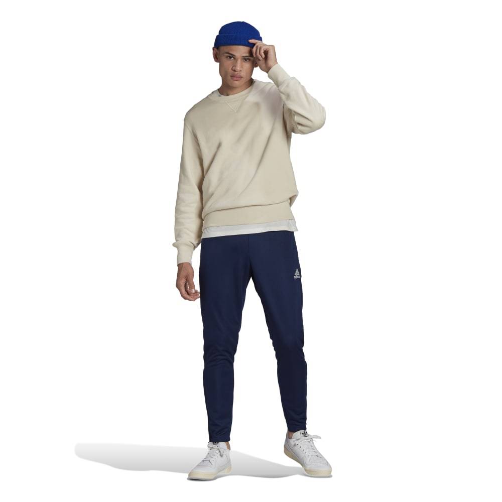 ADIDAS ENT22 TR PNT