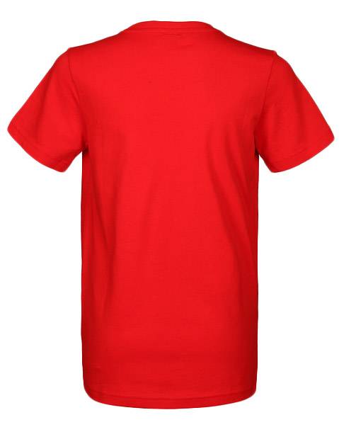 PUMA BOYS SKATE GRAPHIC TEE