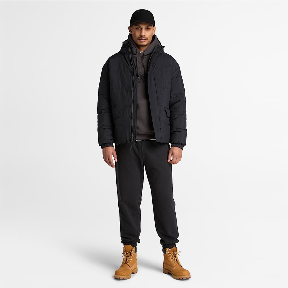 TIMBERLAND EXETER RIVER TREE LOGO LOOPBACK SWEATPANT