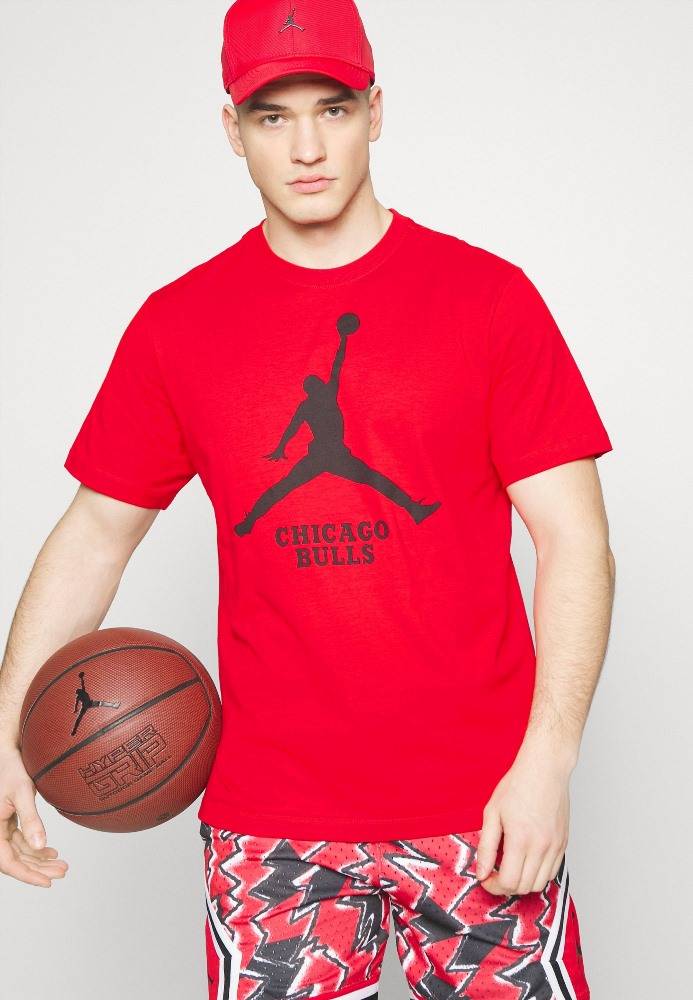 NIKE NBA JORDAN CHICAGO BULLS ESSENTIALS SS TEE