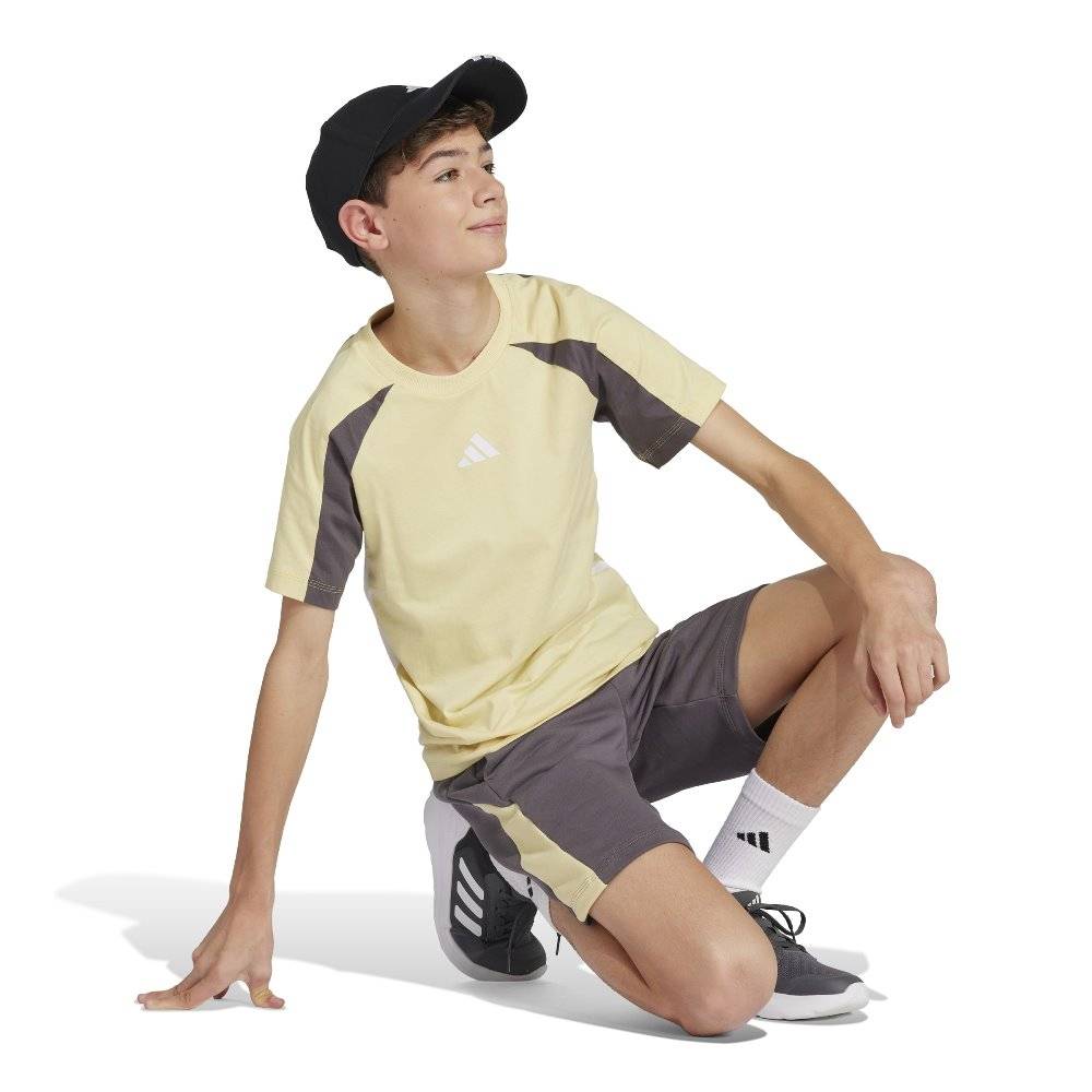 ADIDAS YOUTH SEASONAL ESSENTIALS COLORBLOCK T-SHIRT