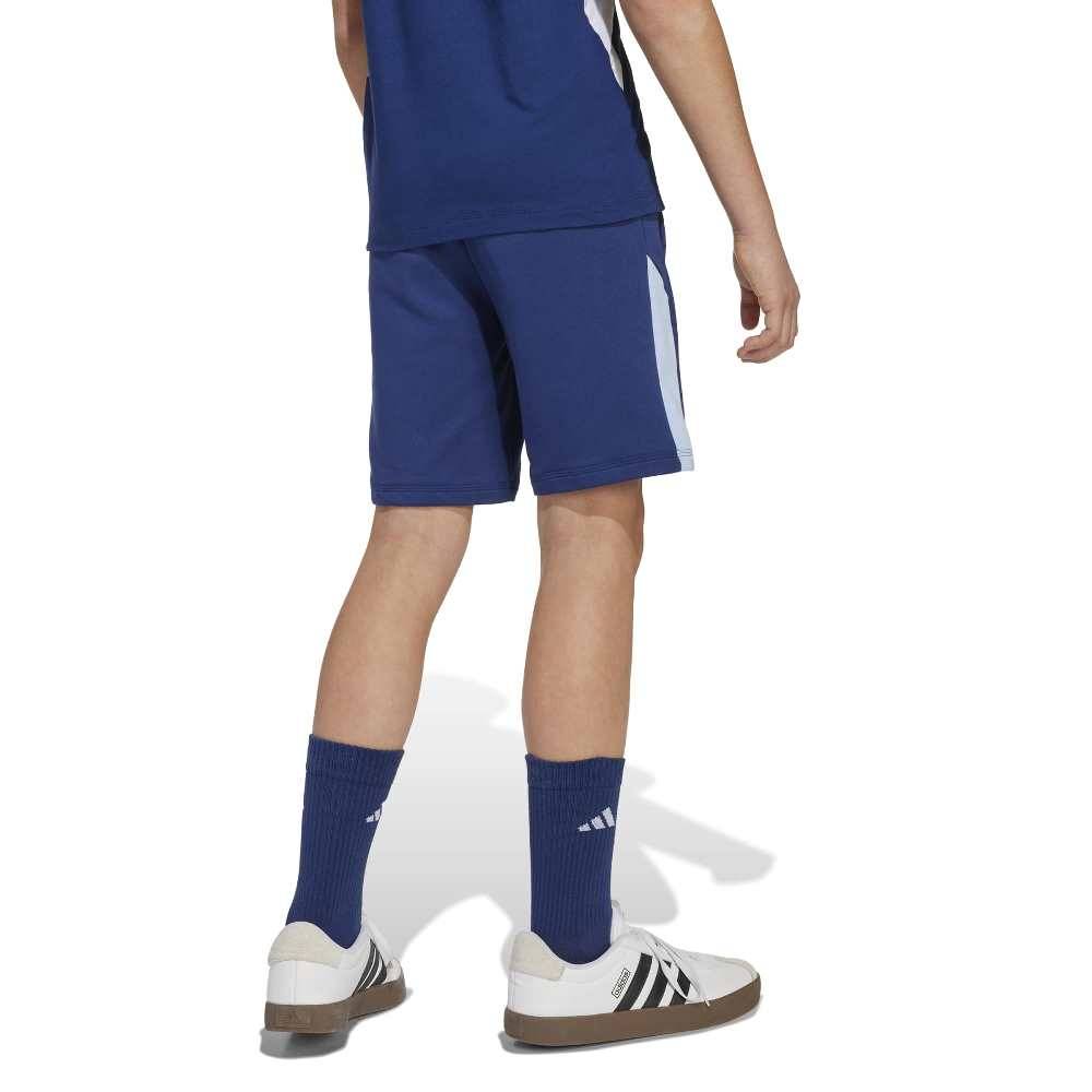 ADIDAS YOUTH SEASONAL ESSENTIALS COLORBLOCK SHORTS