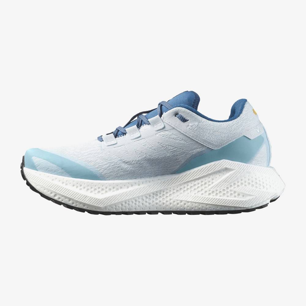 SALOMON AERO GLIDE 3 RUNNING SHOES