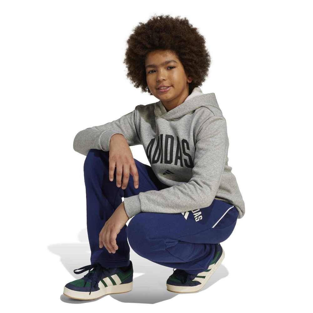 ADIDAS YOUTH SEASONALS ESSENTIALS COLLEGIATE TYPOGRAPHY HOODY