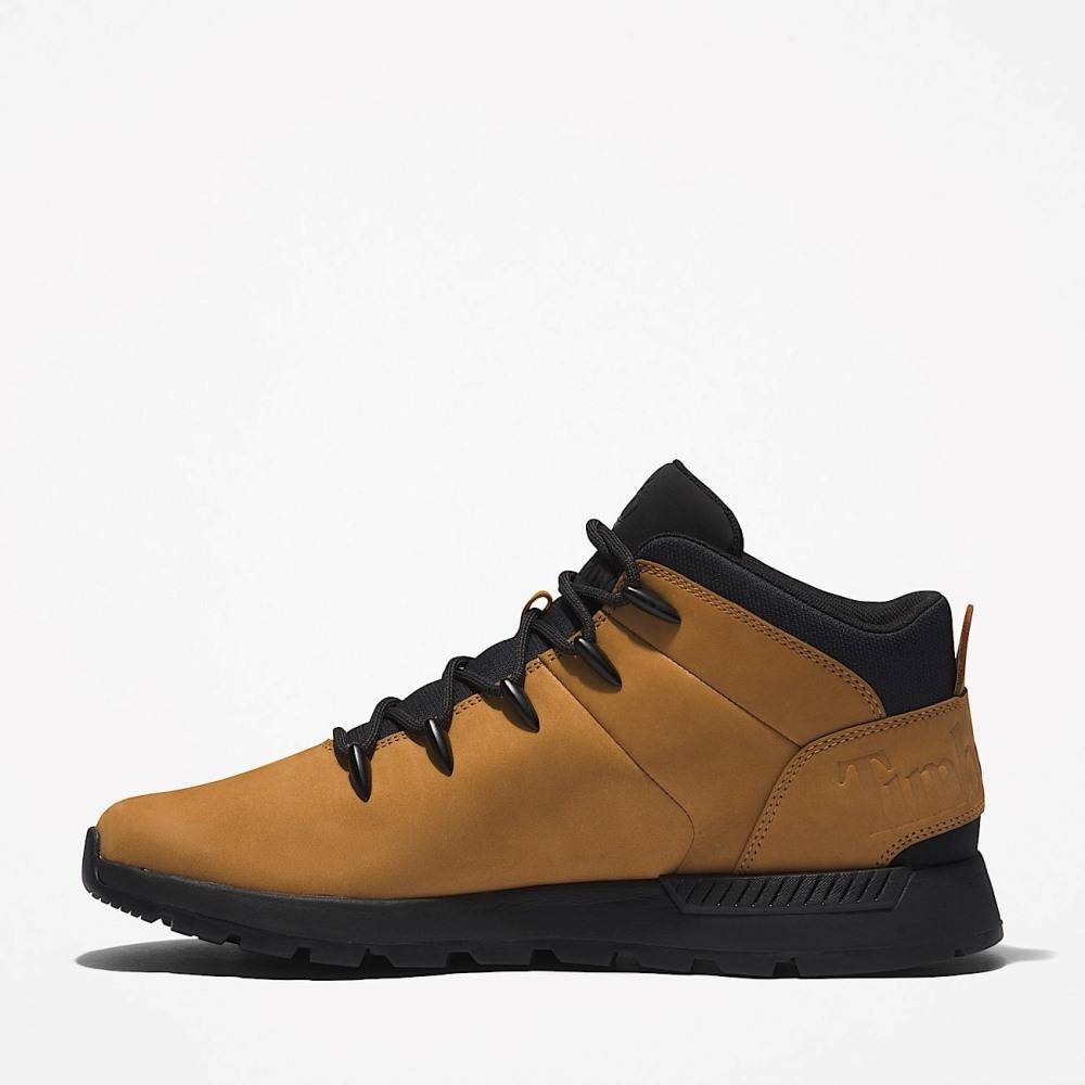 TIMBERLAND SPRINT TREKKER MID LACE UP SNEAKER