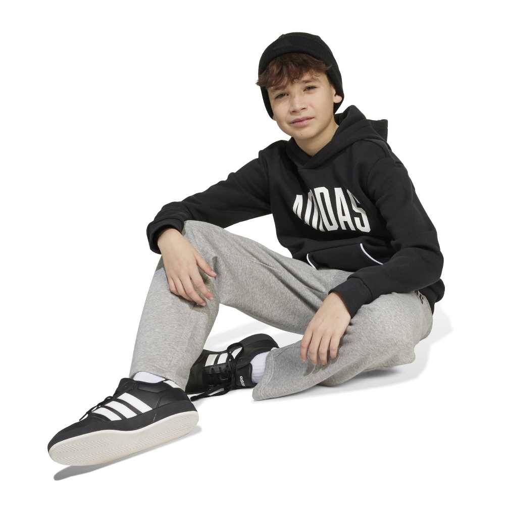 ADIDAS YOUTH SEASONALS ESSENTIALS COLLEGIATE TYPOGRAPHY HOODY