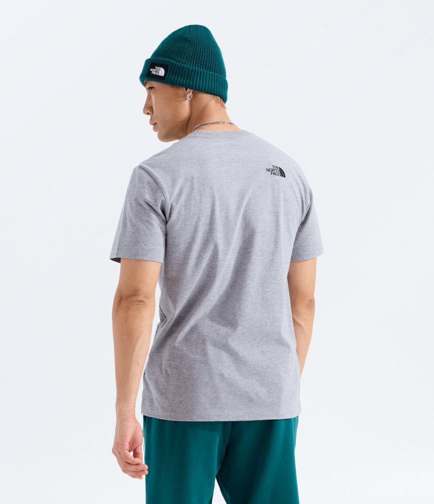 THE NORTH FACE M EVOLUTION BOX HALF DOME REGULAR SHORT