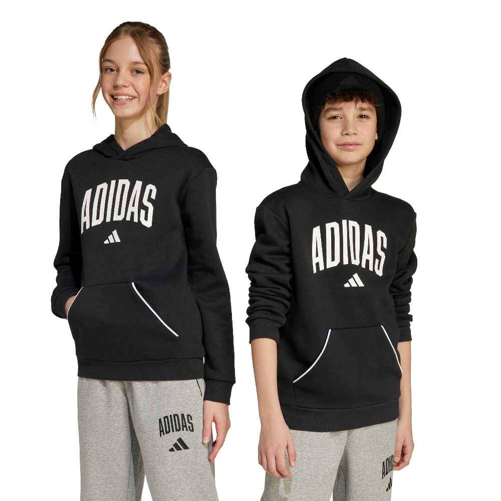 ADIDAS YOUTH SEASONALS ESSENTIALS COLLEGIATE TYPOGRAPHY HOODY