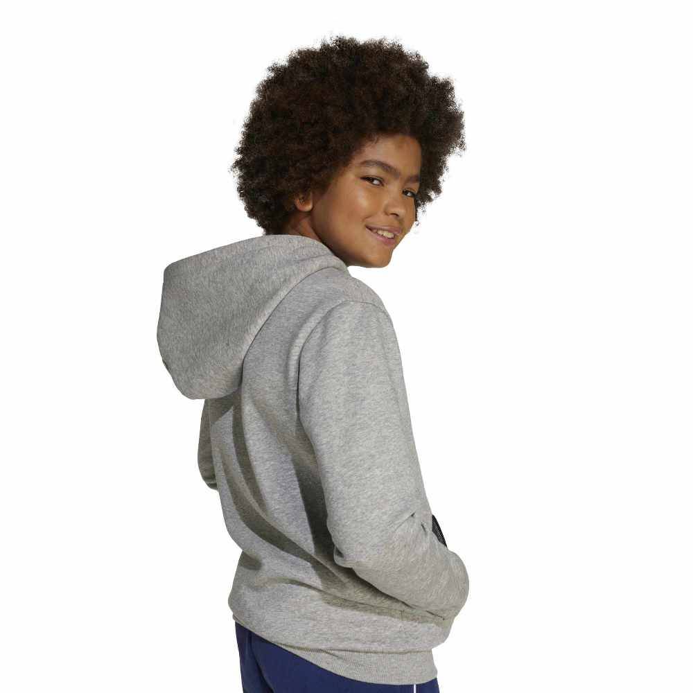ADIDAS YOUTH SEASONALS ESSENTIALS COLLEGIATE TYPOGRAPHY HOODY