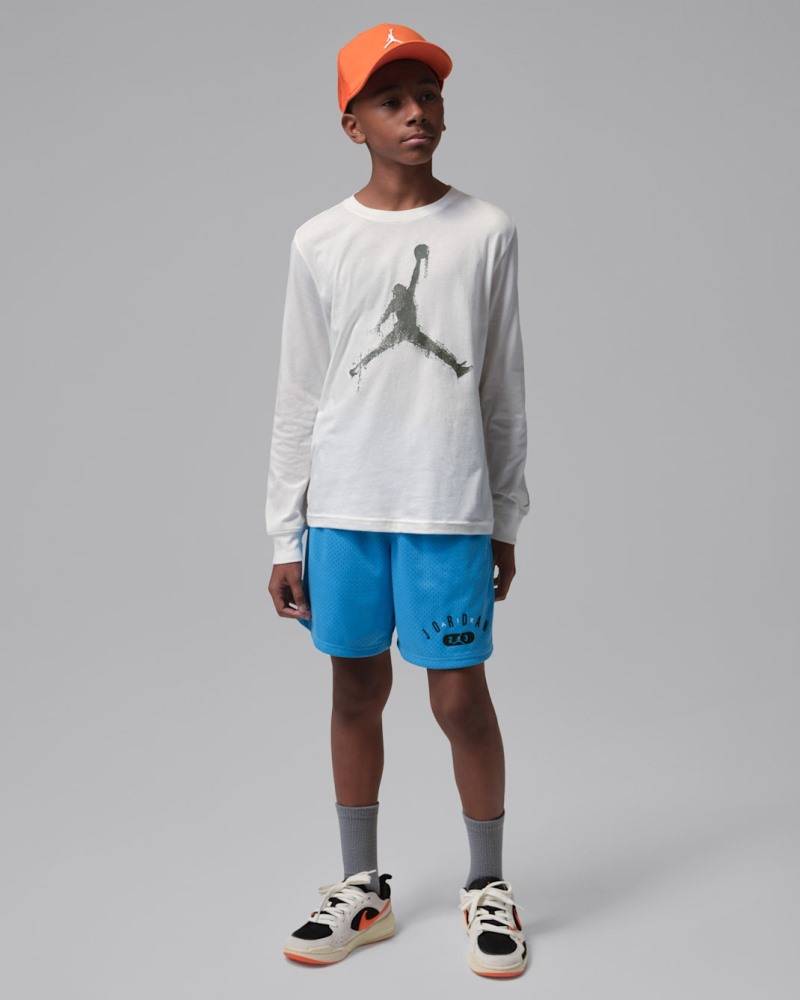 NIKE JORDAN BOYS MJ 23 SPORT SHORT