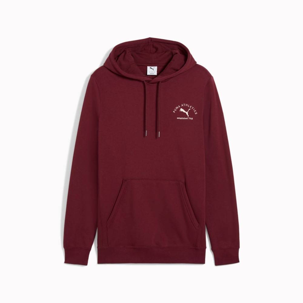 PUMA CLASS GRAPHIC HOODIE FL