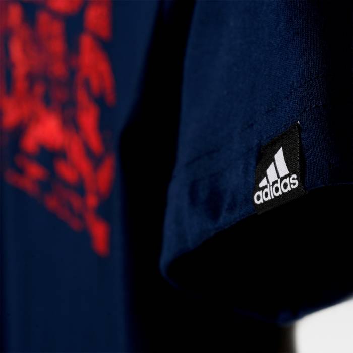 ADIDAS BOYS SUMMER LINEAGE TEE