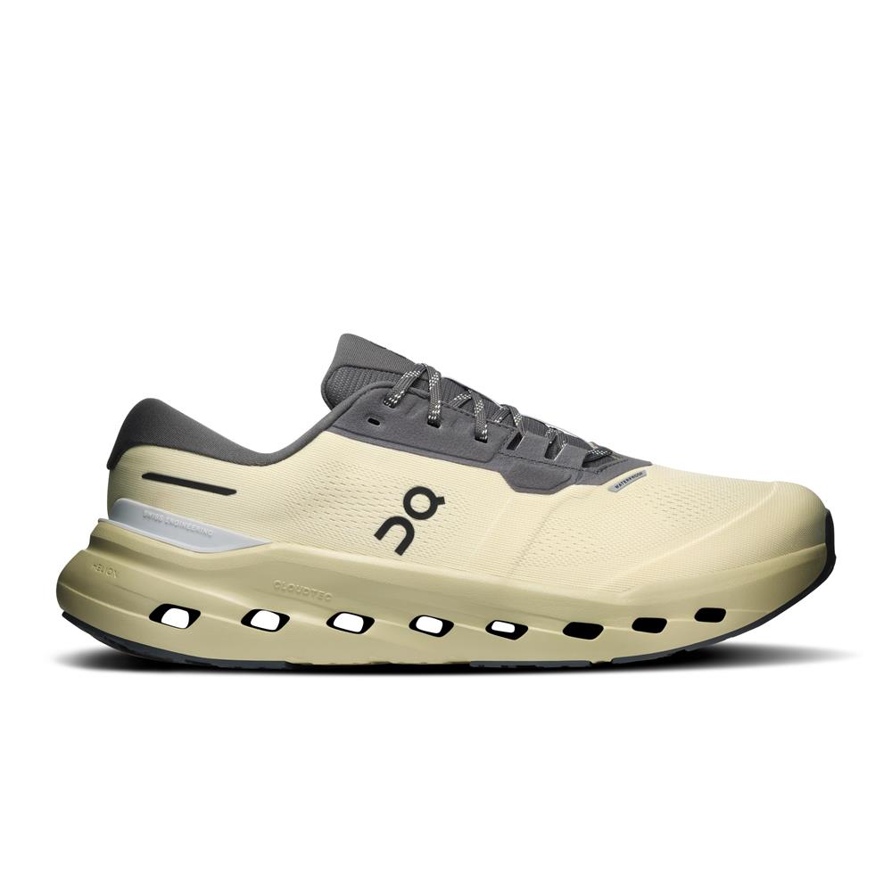 ON RUNNING CLOUDRUNNER 3 WATERPROOF SHOES M