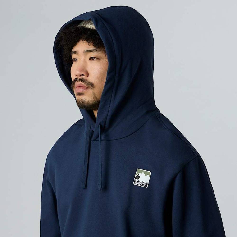THE NORTH FACE M MOUNTAIN LOGO RELAXED HOODIE