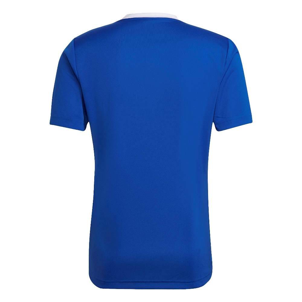 ADIDAS M ENTRADA 22 JERSEY