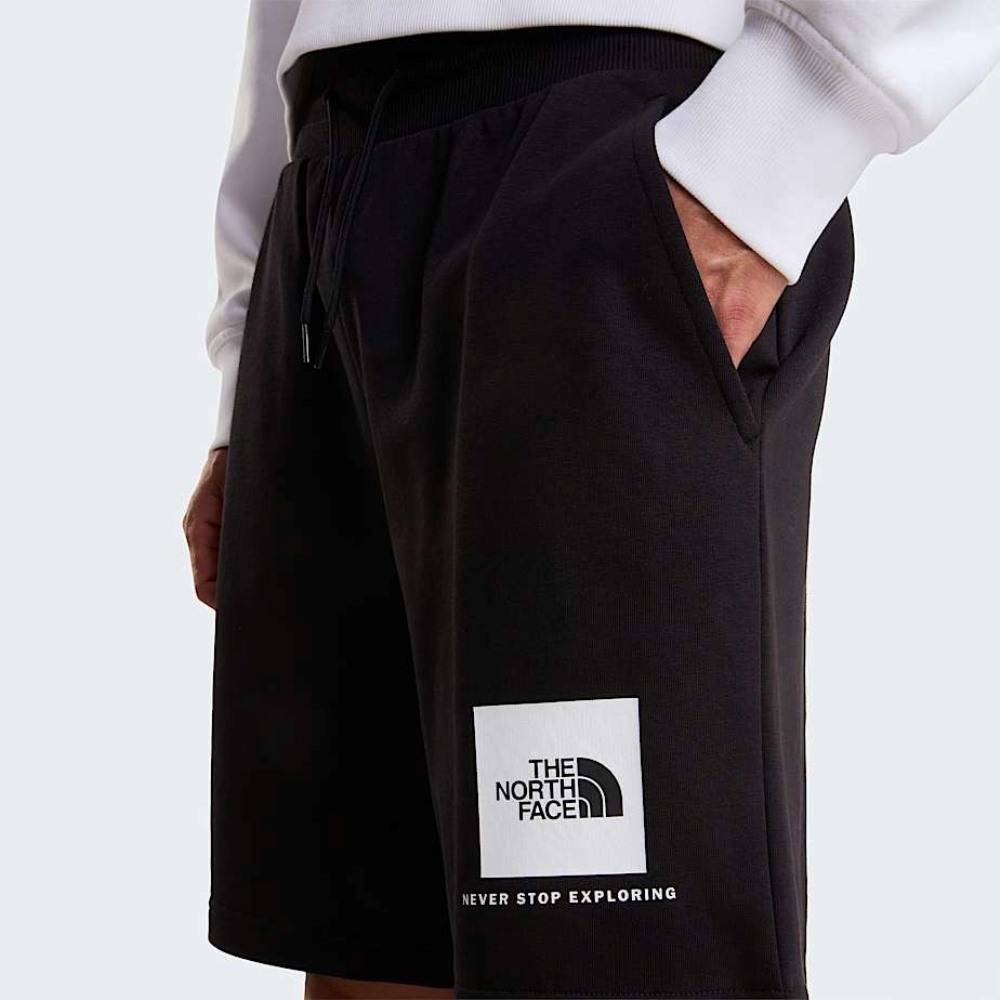 THE NORTH FACE M BOX NSE LIGHT REGULAR SHORTS