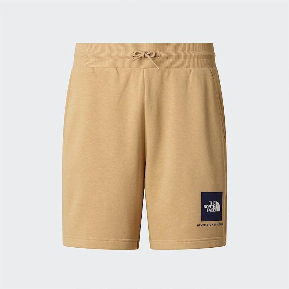THE NORTH FACE M BOX NSE LIGHT REGULAR SHORTS