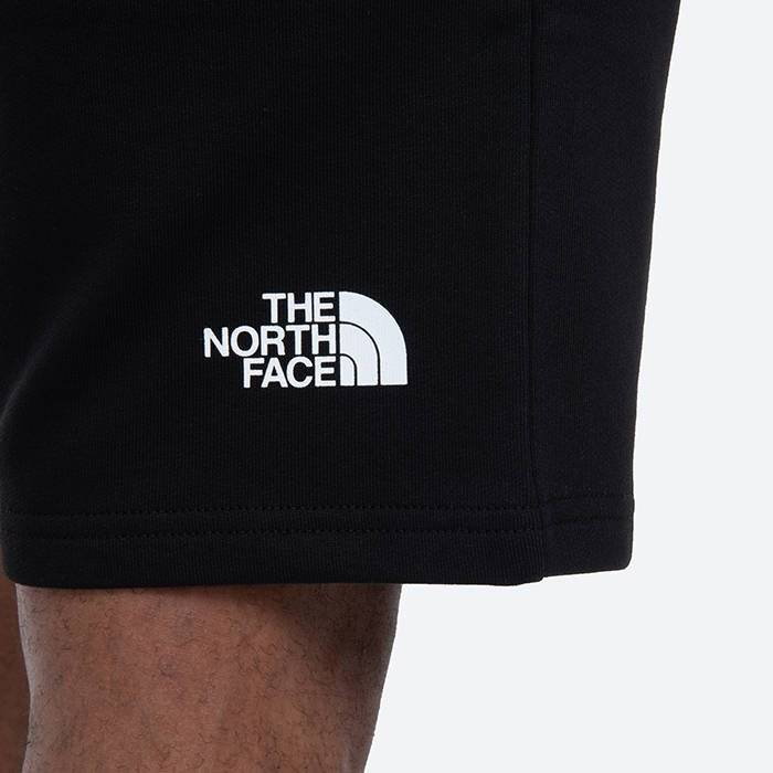 NORTH FACE STAND SHORT LIGHT
