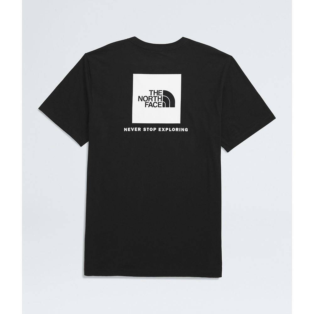 THE NORTH FACE M EVOLUTION BOX NSE REGULAR SHORT SLEEVE TEE