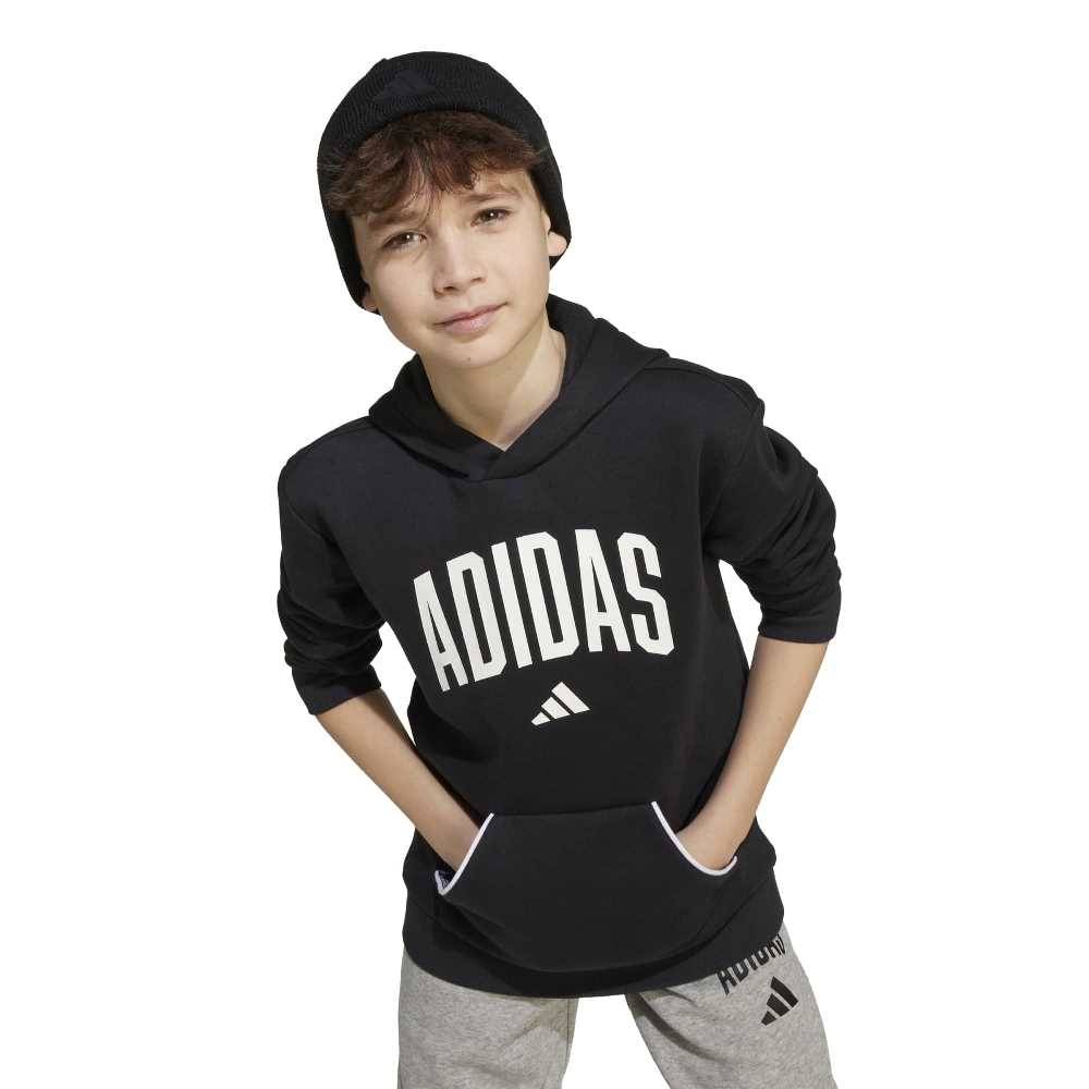 ADIDAS YOUTH SEASONALS ESSENTIALS COLLEGIATE TYPOGRAPHY HOODY
