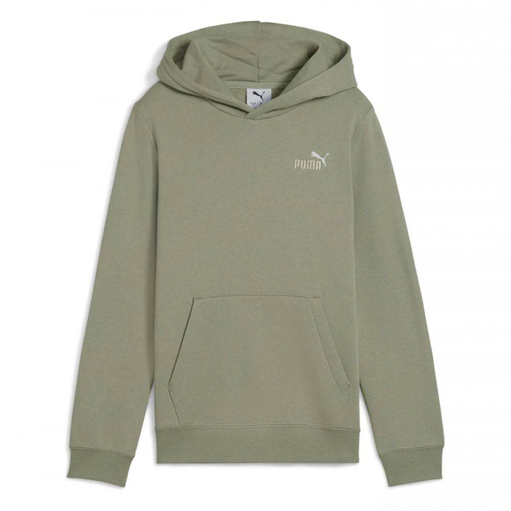 PUMA ESS 2 COLOR SMALL NO. 1 LOGO HOODIE FLEECE B