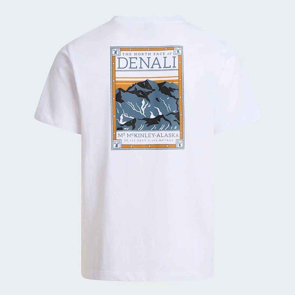 THE NORTH FACE M NORTH FACES REGULAR SHORT SLEEVE TEE GRAPHIC