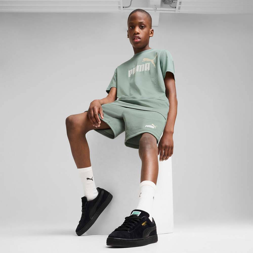 PUMA ESS 2 COLOR NO. 1 LOGO SHORTS TR B