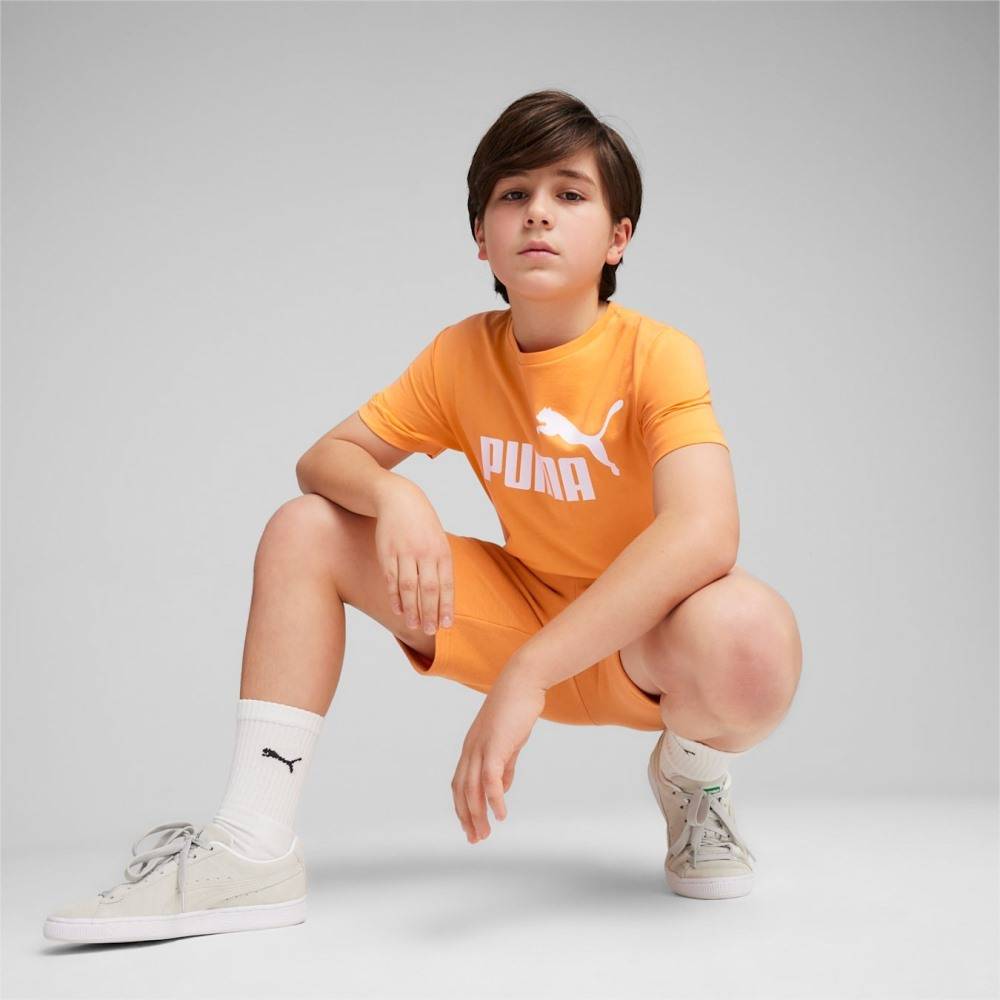 PUMA ESS LOGO TEE B